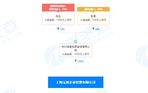 馬云旗下公司全資收購寶恩企業管理咨詢，深化商業版圖布局